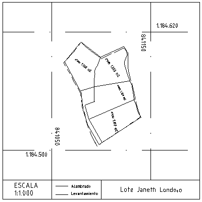 Lote Janeth